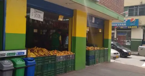 LAS DELICIAS DEL CAMPO 2 LAS DELICIAS DEL CAMPO 2